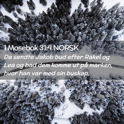 Picture 02 - 1 Mosebok 31:4 NORSK - Da sendte Jakob bud efter Rakel og Lea og bad dem - Bible Verse Picture