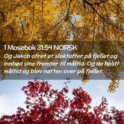 Picture 02 - 1 Mosebok 31:54 NORSK - Og Jakob ofret et slaktoffer på fjellet og - Bible Verse Picture