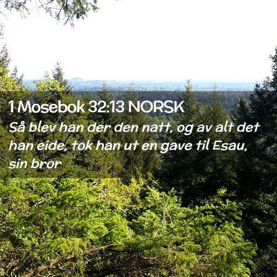 Picture 02 - 1 Mosebok 32:13 NORSK - Så blev han der den natt, og av alt det han - Bible Verse Picture
