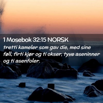 Picture 02 - 1 Mosebok 32:15 NORSK - tretti kameler som gav die, med sine føll, firti - Bible Verse Picture