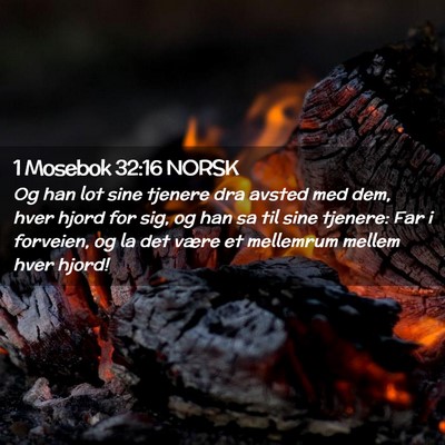 Picture 02 - 1 Mosebok 32:16 NORSK - Og han lot sine tjenere dra avsted med dem, hver - Bible Verse Picture