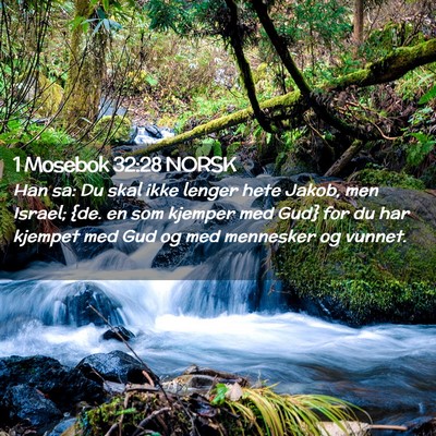 Picture 02 - 1 Mosebok 32:28 NORSK - Han sa: Du skal ikke lenger hete Jakob, men - Bible Verse Picture