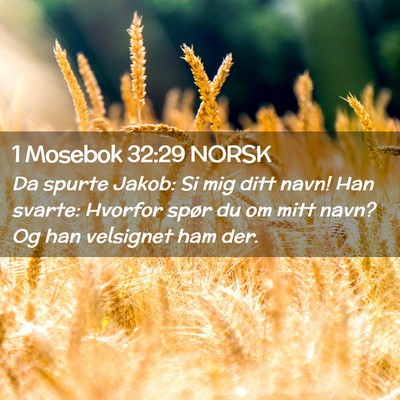 Picture 02 - 1 Mosebok 32:29 NORSK - Da spurte Jakob: Si mig ditt navn! Han svarte: - Bible Verse Picture