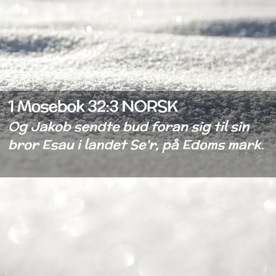 Picture 02 - 1 Mosebok 32:3 NORSK - Og Jakob sendte bud foran sig til sin bror Esau i - Bible Verse Picture