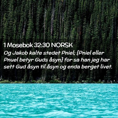 Picture 02 - 1 Mosebok 32:30 NORSK - Og Jakob kalte stedet Pniel; {Pniel eller Pnuel - Bible Verse Picture