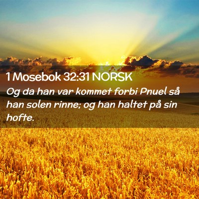 Picture 02 - 1 Mosebok 32:31 NORSK - Og da han var kommet forbi Pnuel så han solen - Bible Verse Picture