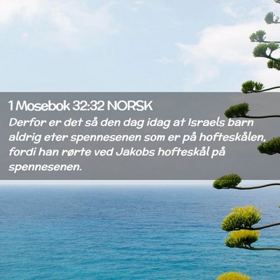 Picture 02 - 1 Mosebok 32:32 NORSK - Derfor er det så den dag idag at Israels barn - Bible Verse Picture