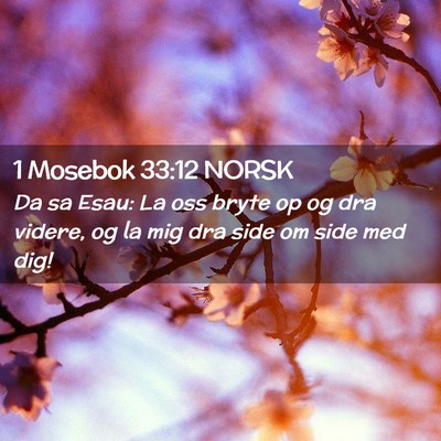 Picture 02 - 1 Mosebok 33:12 NORSK - Da sa Esau: La oss bryte op og dra videre, og la - Bible Verse Picture