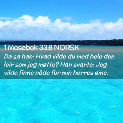 Picture 02 - 1 Mosebok 33:8 NORSK - Da sa han: Hvad vilde du med hele den leir som - Bible Verse Picture