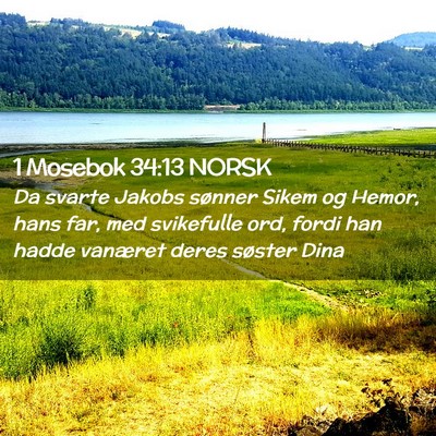 Picture 02 - 1 Mosebok 34:13 NORSK - Da svarte Jakobs sønner Sikem og Hemor, hans - Bible Verse Picture