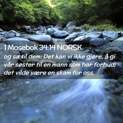 Picture 02 - 1 Mosebok 34:14 NORSK - og sa til dem: Det kan vi ikke gjøre, å gi vår - Bible Verse Picture