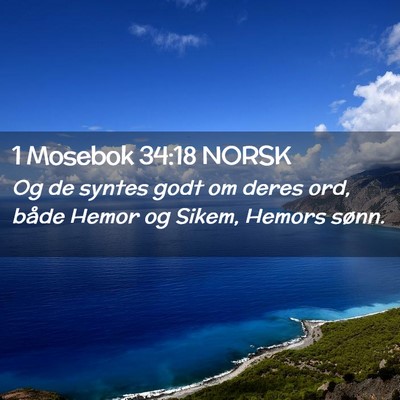 Picture 02 - 1 Mosebok 34:18 NORSK - Og de syntes godt om deres ord, både Hemor og - Bible Verse Picture