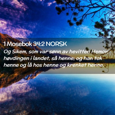 Picture 02 - 1 Mosebok 34:2 NORSK - Og Sikem, som var sønn av hevitten Hemor, - Bible Verse Picture