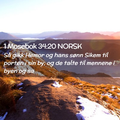 Picture 02 - 1 Mosebok 34:20 NORSK - Så gikk Hemor og hans sønn Sikem til porten i - Bible Verse Picture