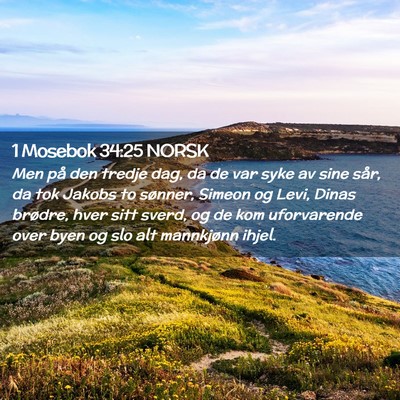 Picture 02 - 1 Mosebok 34:25 NORSK - Men på den tredje dag, da de var syke av sine - Bible Verse Picture