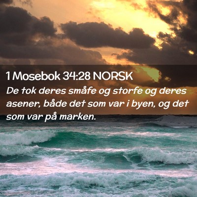 Picture 02 - 1 Mosebok 34:28 NORSK - De tok deres småfe og storfe og deres asener, - Bible Verse Picture