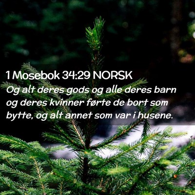 Picture 02 - 1 Mosebok 34:29 NORSK - Og alt deres gods og alle deres barn og deres - Bible Verse Picture