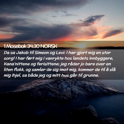 Picture 02 - 1 Mosebok 34:30 NORSK - Da sa Jakob til Simeon og Levi: I har gjort mig - Bible Verse Picture