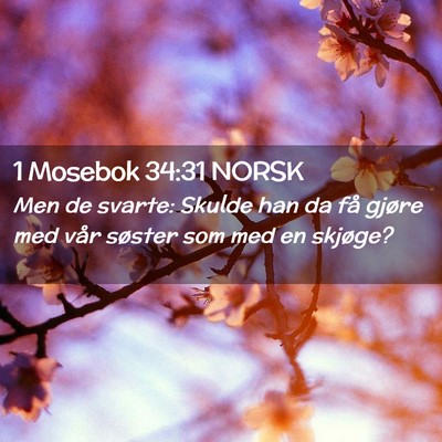 Picture 02 - 1 Mosebok 34:31 NORSK - Men de svarte: Skulde han da få gjøre med vår - Bible Verse Picture