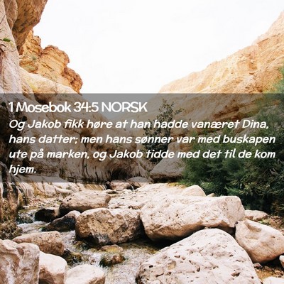 Picture 02 - 1 Mosebok 34:5 NORSK - Og Jakob fikk høre at han hadde vanæret Dina, - Bible Verse Picture