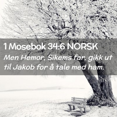 Picture 02 - 1 Mosebok 34:6 NORSK - Men Hemor, Sikems far, gikk ut til Jakob for å - Bible Verse Picture