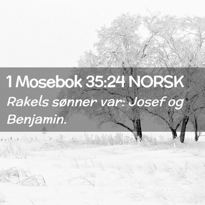 Picture 02 - 1 Mosebok 35:24 NORSK - Rakels sønner var: Josef og - Bible Verse Picture