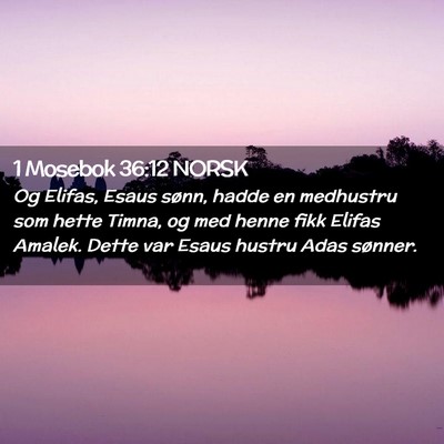 Picture 02 - 1 Mosebok 36:12 NORSK - Og Elifas, Esaus sønn, hadde en medhustru som - Bible Verse Picture