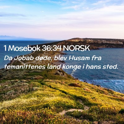 Picture 02 - 1 Mosebok 36:34 NORSK - Da Jobab døde, blev Husam fra temanittenes land - Bible Verse Picture