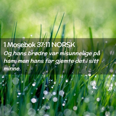 Picture 02 - 1 Mosebok 37:11 NORSK - Og hans brødre var misunnelige på ham; men hans - Bible Verse Picture