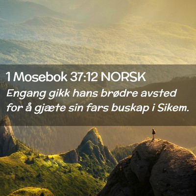 Picture 02 - 1 Mosebok 37:12 NORSK - Engang gikk hans brødre avsted for å gjæte sin - Bible Verse Picture