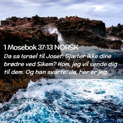 Picture 02 - 1 Mosebok 37:13 NORSK - Da sa Israel til Josef: Gjæter ikke dine brødre - Bible Verse Picture