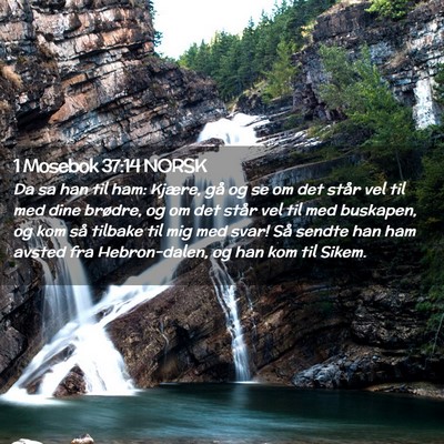 Picture 02 - 1 Mosebok 37:14 NORSK - Da sa han til ham: Kjære, gå og se om det står - Bible Verse Picture