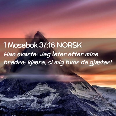 Picture 02 - 1 Mosebok 37:16 NORSK - Han svarte: Jeg leter efter mine brødre; kjære, - Bible Verse Picture