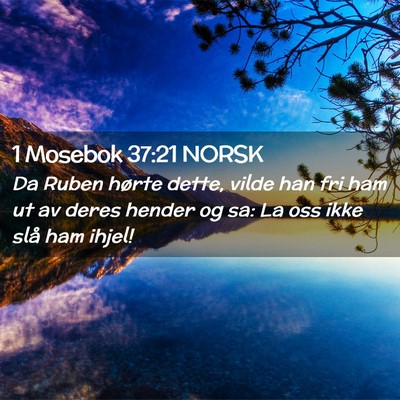 Picture 02 - 1 Mosebok 37:21 NORSK - Da Ruben hørte dette, vilde han fri ham ut av - Bible Verse Picture