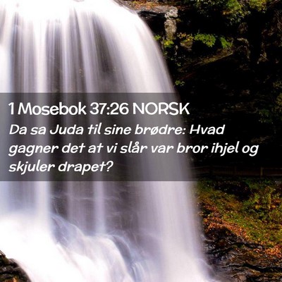 Picture 02 - 1 Mosebok 37:26 NORSK - Da sa Juda til sine brødre: Hvad gagner det at - Bible Verse Picture