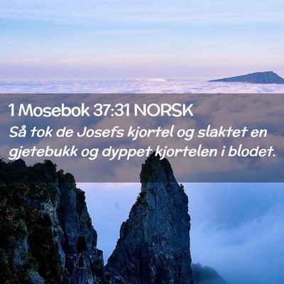 Picture 02 - 1 Mosebok 37:31 NORSK - Så tok de Josefs kjortel og slaktet en gjetebukk - Bible Verse Picture