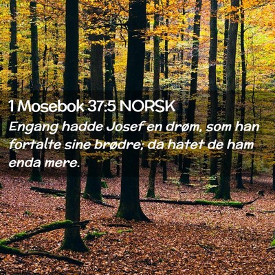 Picture 02 - 1 Mosebok 37:5 NORSK - Engang hadde Josef en drøm, som han fortalte - Bible Verse Picture