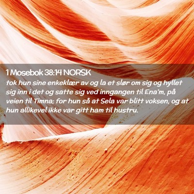 Picture 02 - 1 Mosebok 38:14 NORSK - tok hun sine enkeklær av og la et slør om sig - Bible Verse Picture