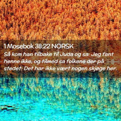 Picture 02 - 1 Mosebok 38:22 NORSK - Så kom han tilbake til Juda og sa: Jeg fant - Bible Verse Picture