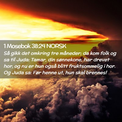 Picture 02 - 1 Mosebok 38:24 NORSK - Så gikk det omkring tre måneder; da kom folk og - Bible Verse Picture