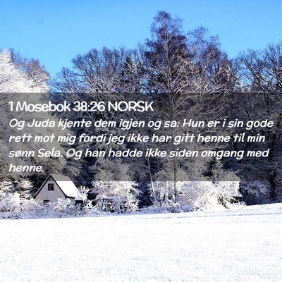 Picture 02 - 1 Mosebok 38:26 NORSK - Og Juda kjente dem igjen og sa: Hun er i sin gode - Bible Verse Picture