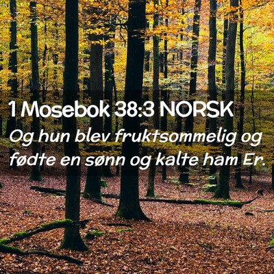 Picture 02 - 1 Mosebok 38:3 NORSK - Og hun blev fruktsommelig og fødte en sønn og - Bible Verse Picture