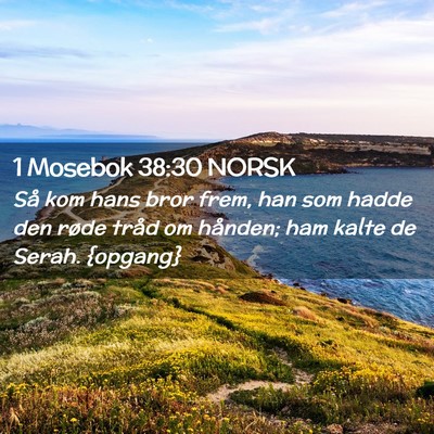 Picture 02 - 1 Mosebok 38:30 NORSK - Så kom hans bror frem, han som hadde den røde - Bible Verse Picture