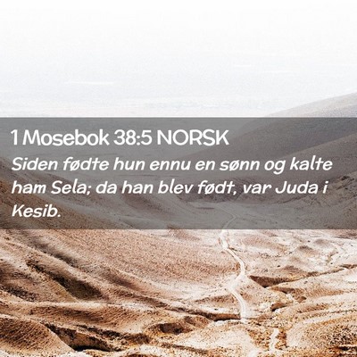 Picture 02 - 1 Mosebok 38:5 NORSK - Siden fødte hun ennu en sønn og kalte ham Sela; - Bible Verse Picture