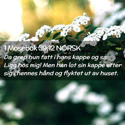 Picture 02 - 1 Mosebok 39:12 NORSK - Da grep hun fatt i hans kappe og sa: Ligg hos - Bible Verse Picture