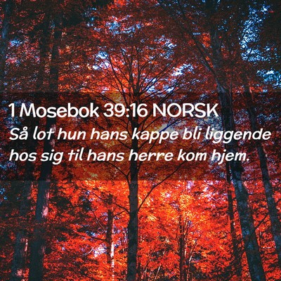 Picture 02 - 1 Mosebok 39:16 NORSK - Så lot hun hans kappe bli liggende hos sig til - Bible Verse Picture