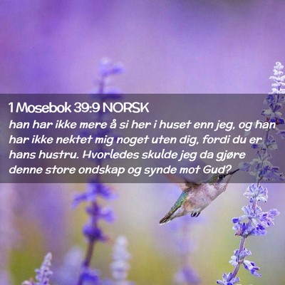 Picture 02 - 1 Mosebok 39:9 NORSK - han har ikke mere å si her i huset enn jeg, og - Bible Verse Picture