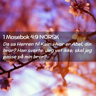 Picture 02 - 1 Mosebok 4:9 NORSK - Da sa Herren til Kain: Hvor er Abel, din bror? - Bible Verse Picture