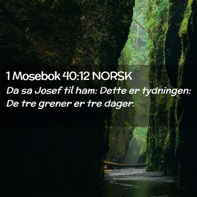 Picture 02 - 1 Mosebok 40:12 NORSK - Da sa Josef til ham: Dette er tydningen: De tre - Bible Verse Picture