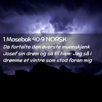 Picture 02 - 1 Mosebok 40:9 NORSK - Da fortalte den øverste munnskjenk Josef sin - Bible Verse Picture